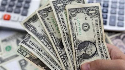 سعر الدولار في البنك المركزي المصري اليوم الأربعاء 15 يوليو