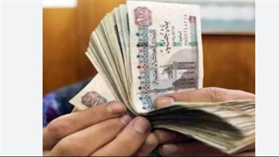 خطوات سهلة للاستعلام عن نتيجة معاش تكافل وكرامة 2026