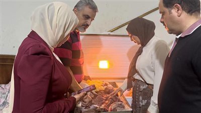 160 مخالفة تموينية بالدقهلية وضبط لحوم مجهولة المصدر