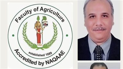 زراعة القاهرة تحصد 3 شهادات أيزو واعتمادًا بحثيًا جديدًا