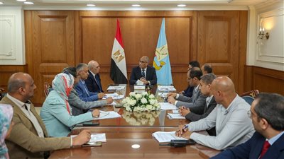  مكى يترأس اللجنة العليا للاستثمار وتنمية المناطق الصناعية بكفرالشيخ