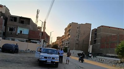 الكلاب الضالة في قنا.. الطب البيطري يتحرك فورًا بعد شكاوى المواطنين