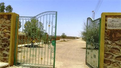 محافظ أسوان يوجه بتطوير الجبانة الجديدة وتوسعتها لخدمة المواطنين