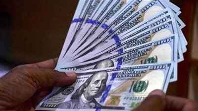 استقرار أسعار الصرف في البنوك المصرية اليوم الأحد