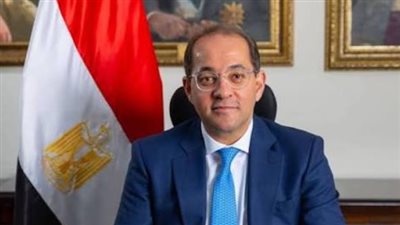 وزير المالية: 48 مليار جنيه لدعم الصادرات وتحفيز المصدرين