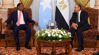 وزير الخارجية يؤكد دعم مصر الكامل لوحدة وسيادة الصومال