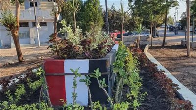 محافظ الدقهلية يتابع خطة تطوير ميادين ميت غمر