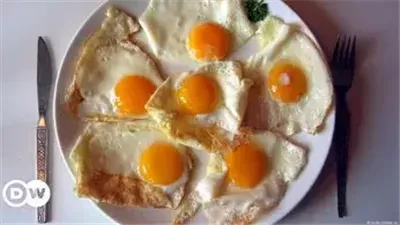 البيض صديق أم عدو؟.. وزارة الصحة تكشف الحقائق العلمية وتحذر من الإفراط