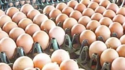 ارتفاع أسعار البيض اليوم في الأسواق المصرية