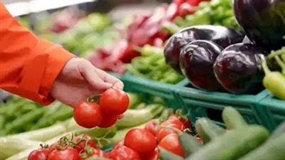 تباين أسعار أصناف المانجو البلدي والزبدية والفص في الأسواق المحلية بمنتصف الصيف