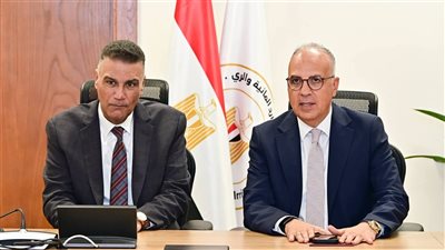 وزير الري ومحافظ جنوب سيناء يبحثان مشروعات المياه وحماية الشواطئ والسيول