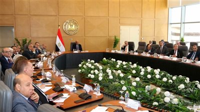 وزير الكهرباء يتابع خطة رفع كفاءة الطاقة بالسوق المحلية