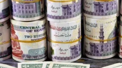 سعر الدولار في مصر