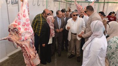 محافظ الدقهلية يفتتح مجزر أجا بعد تطويره الشامل