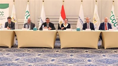 بحضور وزيرا البيئة والتنمية المحلية.. البنك الدولي يراجع مشروع إدارة تلوث الهواء
