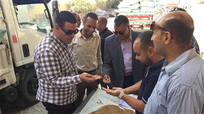 التموين : توريد 1.8 مليون طن قمح محلي حتي الآن