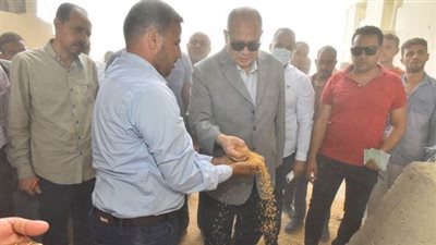 محافظ أسيوط يعلن استمرار حصاد محصول القمح وتوريد 94 ألف طن للشون والصوامع