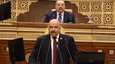 رئيس الشيوخ يحيل طلب مناقشة عامة حول مراكز التنمية الشبابية للجنة المختصة