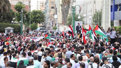 مجلس حكماء المسلمين يُشيد بدور مصر التاريخي في دعم القضية الفلسطينية ويستنكر الحملات المشككة