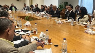 انعقاد اللجنة الدائمة لمُتابعة العلاقات المصرية الأفريقية