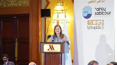 وزيرة التخطيط: ندرس إنشاء صندوق سيادي للصناعة