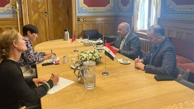 السفير المصري في النرويج يلتقي رئيسة لجنة العلاقات الخارجية والدفاع بالبرلمان النرويجي
