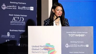 المشاط: تمويلات تنموية بأكثر من 10.7 مليار دولار للقطاع الخاص منذ 2020 وحتى الآن