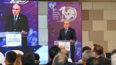 وزير الري: تسجيل 1695 كارثة طبيعية في أفريقيا ووفاة 732 ألف إنسان 