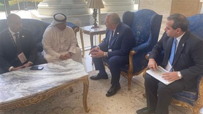 وزير الزراعة يلتقي رئيس الهيئة العربية للاستثمار والإنماء الزراعي لبحث منظومة الأمن الغذائي العربي