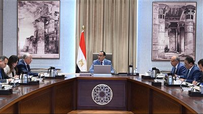 رئيس الوزراء يناقش مقترح إنشاء منظومة رقمية لكافة الأراضي الزراعية على مستوي الجمهورية 