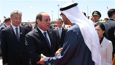لقاء أخوي بين الرئيس السيسي ونظيره الإماراتي
