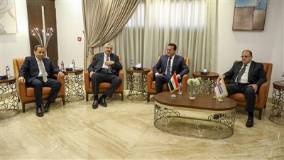 وزير الصحة: نستهدف إنتاج 6 أصناف من أدوية المسكنات والمضادات الحيوية