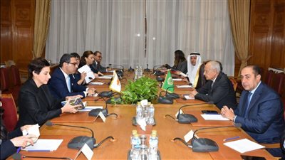 أبو الغيط يناقش مع وزير خارجية قبرص كيفية توصيل المساعدات الإنسانية لغزة 