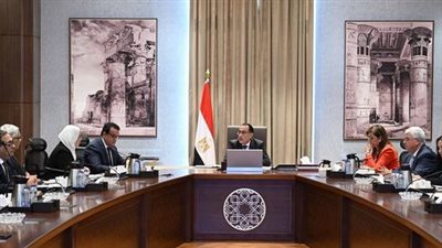 مدبولي: انخفاض معدلات النمو السكاني والمواليد له أثر إيجابي على الوضع الاقتصادي 