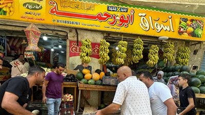 محافظة الجيزة تشن حملات بمناطق الدكتور لاشين والمريوطية فيصل وكعبيش