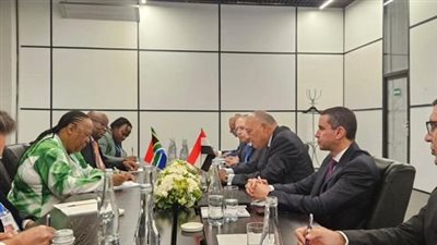 وزير الخارجية لنظيرته الجنوب إفريقية: نرفض انتهاكات إسرائيل فى رفح الفلسطينية
