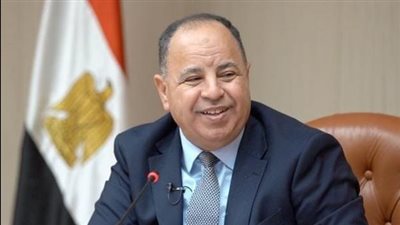 وزير المالية: 2 مليار دولار «إيرادات متوقعة» لمبادرة «سيارات المصريين بالخارج»