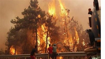 12 قتيلا على الأقل جراء حريق غابات في جنوب شرق تركيا