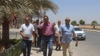 نائب رئيس 