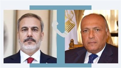 وزير الخارجية ونظيره التركي يؤكدان ضرورة التوصل لوقف فوري لإطلاق النار بغزة