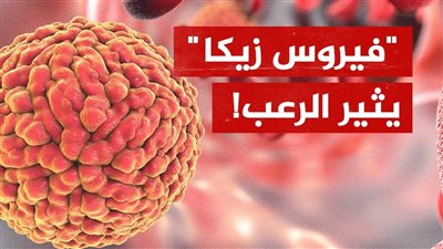 بعد انتشاره في عدة دول.. أعراض الإصابة بفيروس زيكا وكيفية الوقاية منه