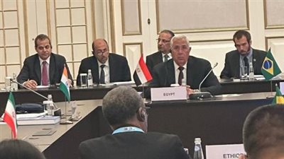 وزير الزراعة: مصر اتخذت قرارات مهمة فور انضمامها لمجموعة البريكس