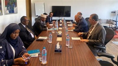 وزير الخارجية ونظيره الصومالي يبحثان تعزيز العلاقات الثنائية بين البلدين