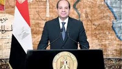 الرئيس السيسي يتسلم أوراق اعتماد 12 سفيرا جديدا لدى مصر بينهم أمريكا 