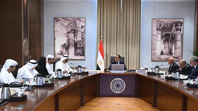 وزير الصناعة الإماراتي للوزراء: حل مشكلة الطاقة في مصر 