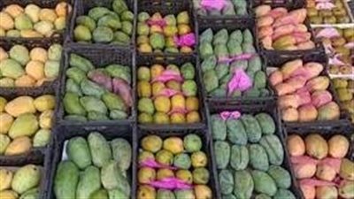 اعرف أسعار المانجو اليوم الإثنين في سوق العبور 
