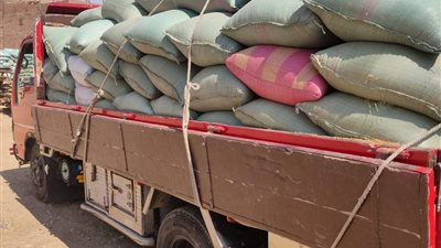 ضبط أكثر من 28 طن قمح فاسد أثناء محاولة توريده في شونة أبوتيج بأسيوط 