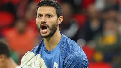 وزير الرياضة السابق: الشناوي لا يتحمل مسؤولية هدف زيمبابوي