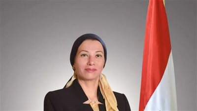 وزيرة البيئة تجتمع بوفد إماراتي لبحث فرص الاستثمار في تحويل مخلفات الطاقة