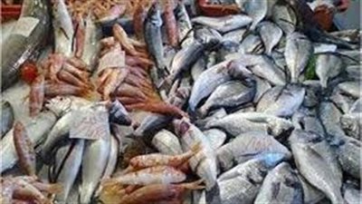 أسعار السمك اليوم الأربعاء بسوق العبور للجملة